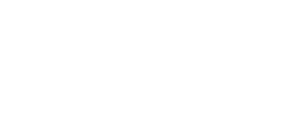 Renaisans logo