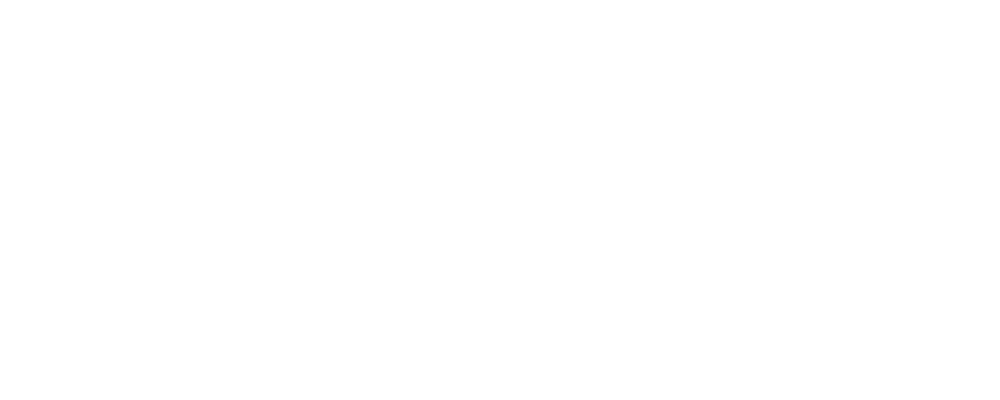 NATUSKA LOGO